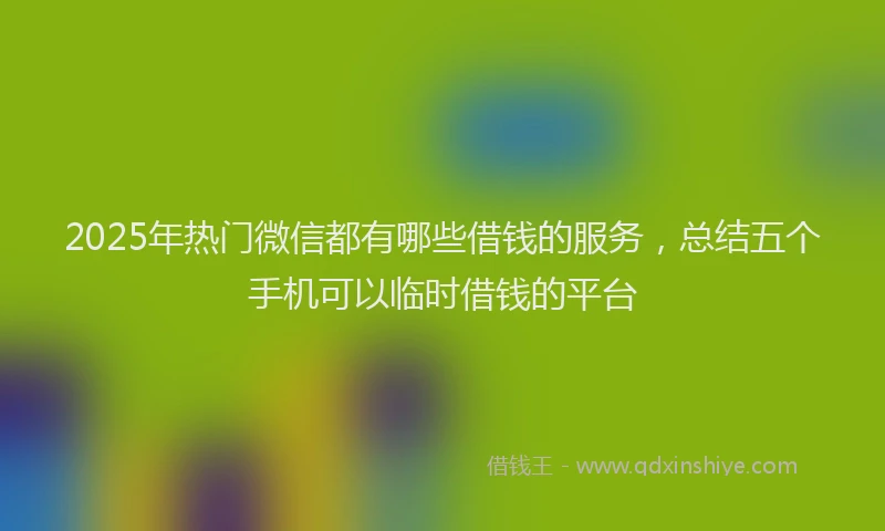 2025年热门微信都有哪些借钱的服务，总结五个手机可以临时借钱的平台