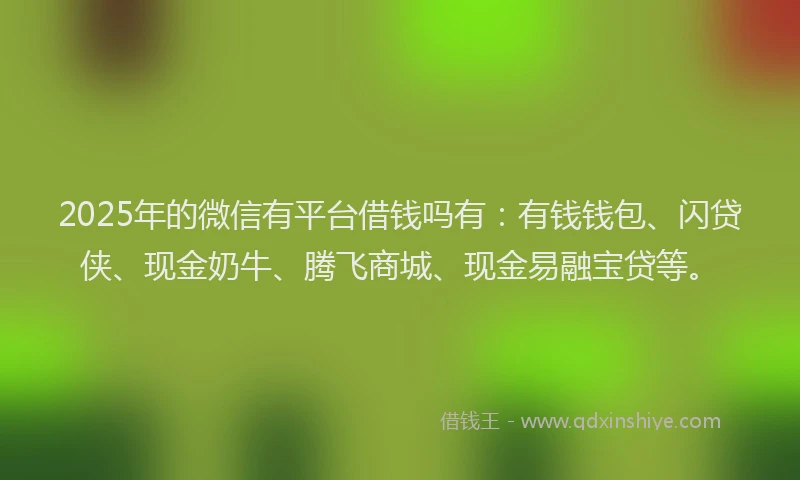 2025年的微信有平台借钱吗有：有钱钱包、闪贷侠、现金奶牛、腾飞商城、现金易融宝贷等。
