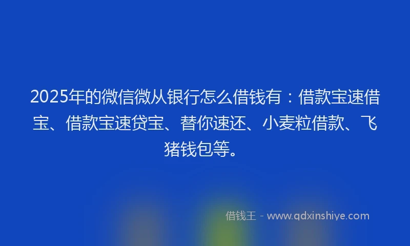2025年的微信微从银行怎么借钱有：借款宝速借宝、借款宝速贷宝、替你速还、小麦粒借款、飞猪钱包等。