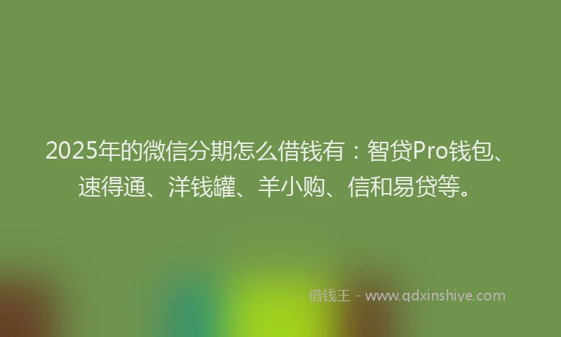 2025年的微信分期怎么借钱有：智贷Pro钱包、速得通、洋钱罐、羊小购、信和易贷等。