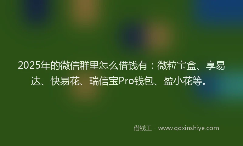 2025年的微信群里怎么借钱有：微粒宝盒、享易达、快易花、瑞信宝Pro钱包、盈小花等。