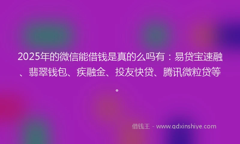 2025年的微信能借钱是真的么吗有：易贷宝速融、翡翠钱包、疾融金、投友快贷、腾讯微粒贷等。