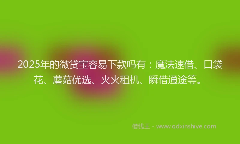 2025年的微贷宝容易下款吗有：魔法速借、口袋花、蘑菇优选、火火租机、瞬借通途等。