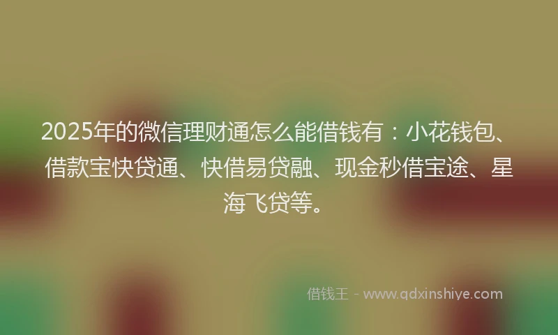 2025年的微信理财通怎么能借钱有：小花钱包、借款宝快贷通、快借易贷融、现金秒借宝途、星海飞贷等。