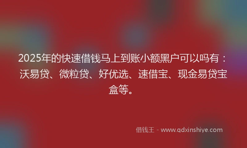 2025年的快速借钱马上到账小额黑户可以吗有:沃易贷、微粒贷、好优选、速借宝、现金易贷宝盒等。