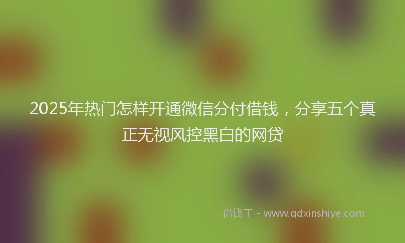 2025年热门怎样开通微信分付借钱，分享五个真正无视风控黑白的网贷