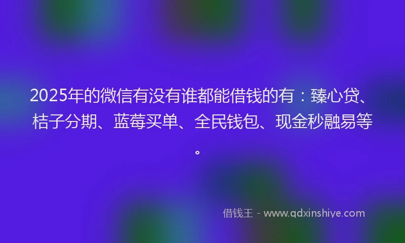 2025年的微信有没有谁都能借钱的有：臻心贷、桔子分期、蓝莓买单、全民钱包、现金秒融易等。