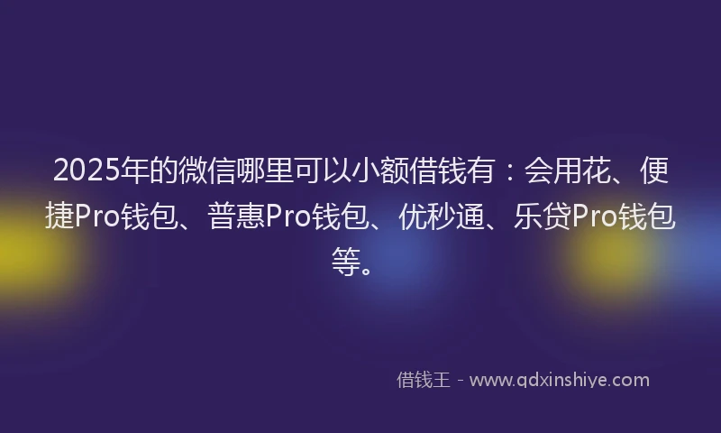 2025年的微信哪里可以小额借钱有：会用花、便捷Pro钱包、普惠Pro钱包、优秒通、乐贷Pro钱包等。