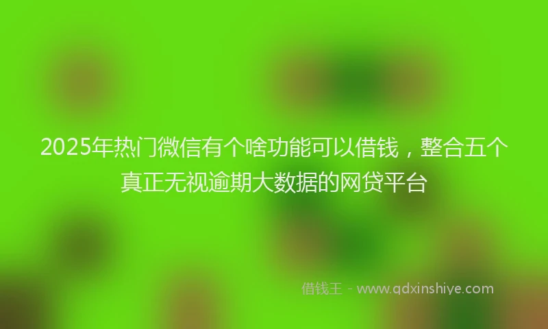 2025年热门微信有个啥功能可以借钱，整合五个真正无视逾期大数据的网贷平台