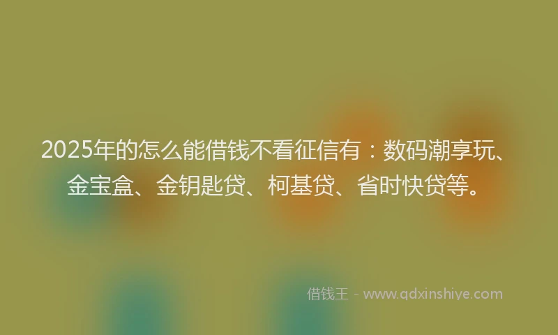 2025年的怎么能借钱不看征信有：数码潮享玩、金宝盒、金钥匙贷、柯基贷、省时快贷等。
