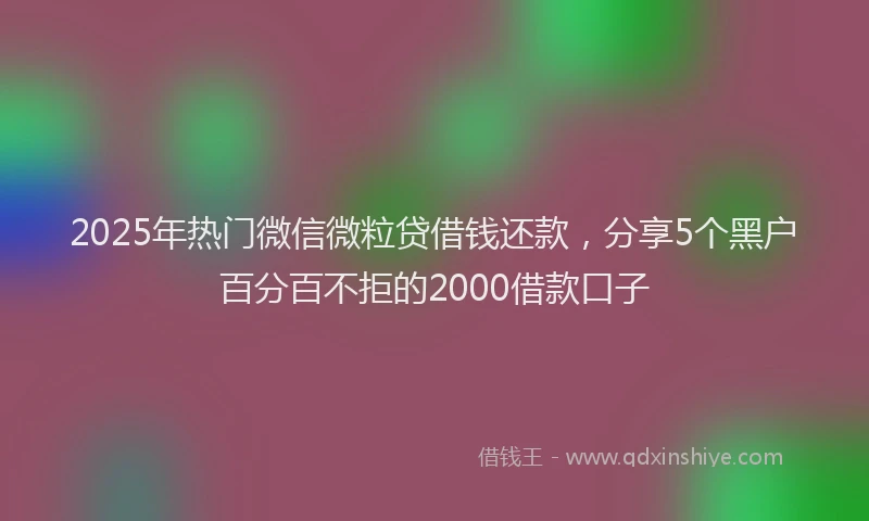 2025年热门微信微粒贷借钱还款，分享5个黑户百分百不拒的2000借款口子