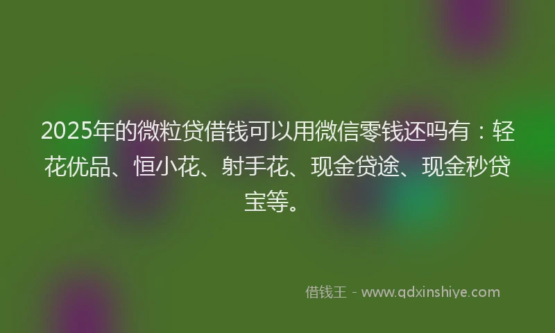 2025年的微粒贷借钱可以用微信零钱还吗有：轻花优品、恒小花、射手花、现金贷途、现金秒贷宝等。