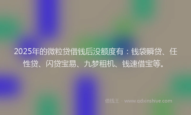 2025年的微粒贷借钱后没额度有：钱袋瞬贷、任性贷、闪贷宝易、九梦租机、钱速借宝等。