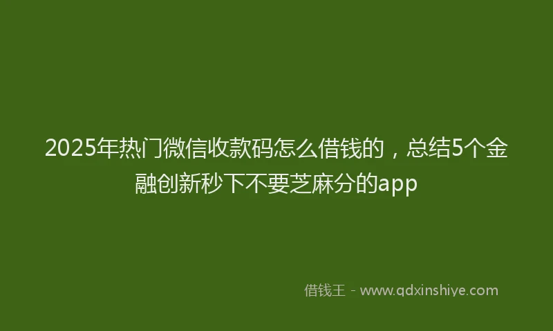 2025年热门微信收款码怎么借钱的，总结5个金融创新秒下不要芝麻分的app