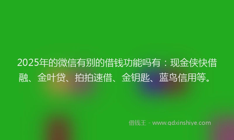 2025年的微信有别的借钱功能吗有：现金侠快借融、金叶贷、拍拍速借、金钥匙、蓝鸟信用等。