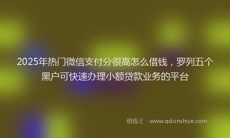 2025年热门微信支付分很高怎么借钱，罗列五个黑户可快速办理小额贷款业务的平台