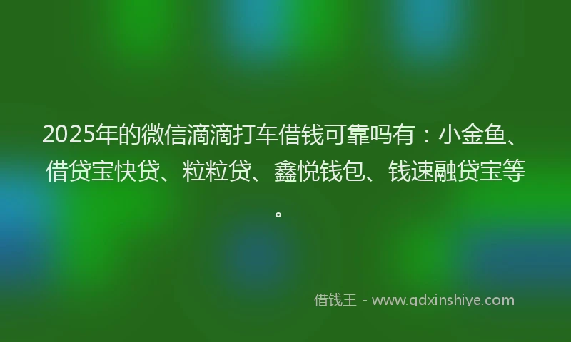 2025年的微信滴滴打车借钱可靠吗有：小金鱼、借贷宝快贷、粒粒贷、鑫悦钱包、钱速融贷宝等。