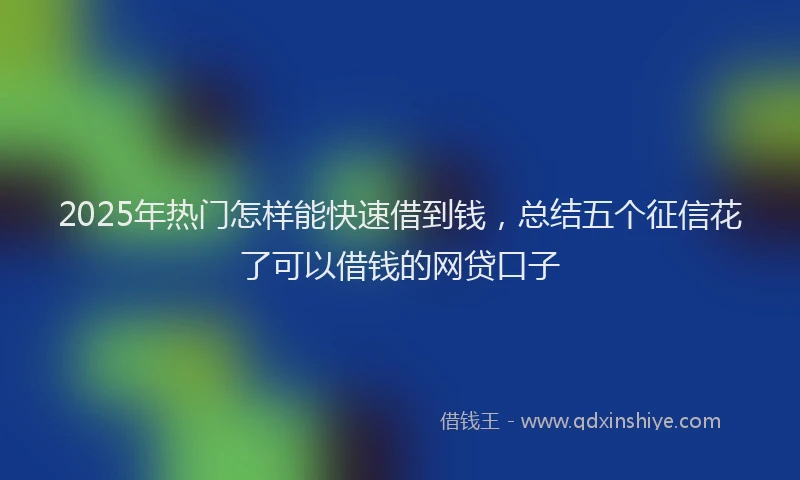 2025年热门怎样能快速借到钱，总结五个征信花了可以借钱的网贷口子
