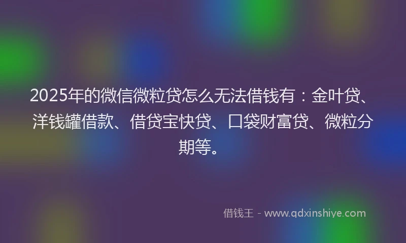 2025年的微信微粒贷怎么无法借钱有：金叶贷、洋钱罐借款、借贷宝快贷、口袋财富贷、微粒分期等。