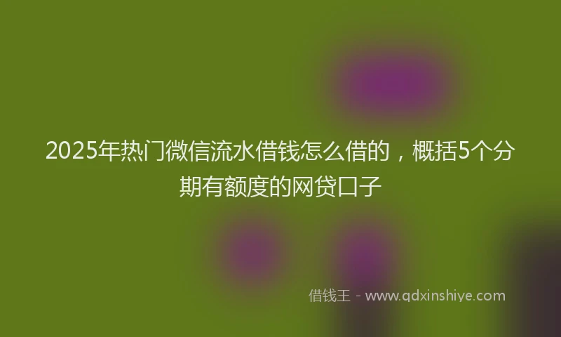2025年热门微信流水借钱怎么借的，概括5个分期有额度的网贷口子