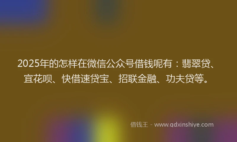2025年的怎样在微信公众号借钱呢有：翡翠贷、宜花呗、快借速贷宝、招联金融、功夫贷等。
