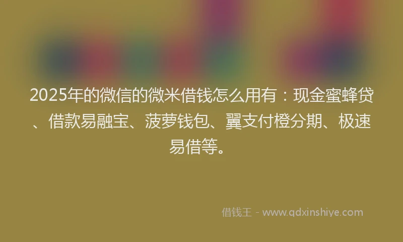 2025年的微信的微米借钱怎么用有:现金蜜蜂贷、借款易融宝、菠萝钱包、翼支付橙分期、极速易借等。
