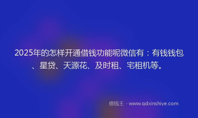 2025年的怎样开通借钱功能呢微信有：有钱钱包、星贷、天源花、及时租、宅租机等。