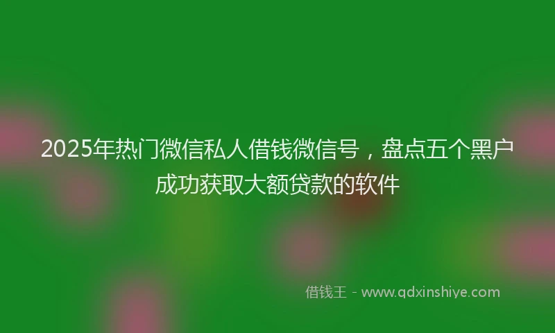 2025年热门微信私人借钱微信号，盘点五个黑户成功获取大额贷款的软件