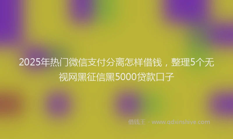 2025年热门微信支付分离怎样借钱,整理5个无视网黑征信黑5000贷款口子