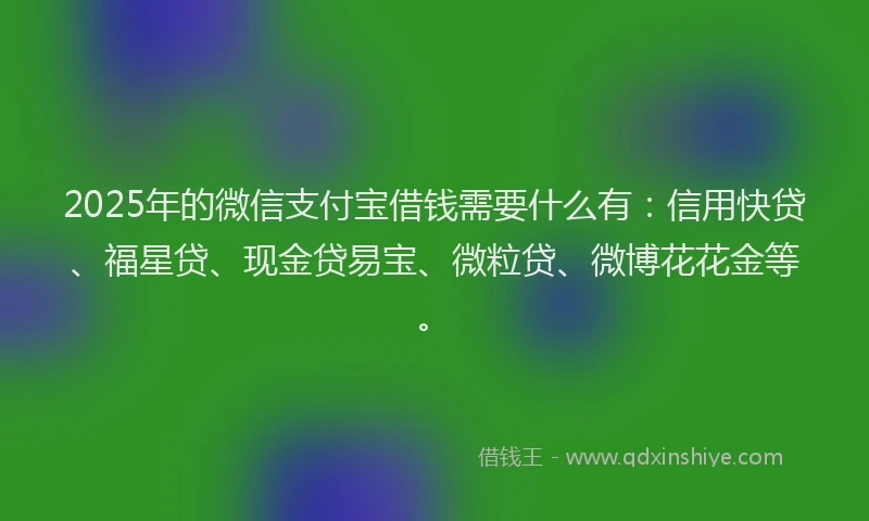 2025年的微信支付宝借钱需要什么有：信用快贷、福星贷、现金贷易宝、微粒贷、微博花花金等。