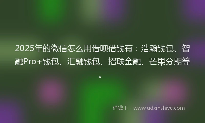 2025年的微信怎么用借呗借钱有：浩瀚钱包、智融Pro+钱包、汇融钱包、招联金融、芒果分期等。