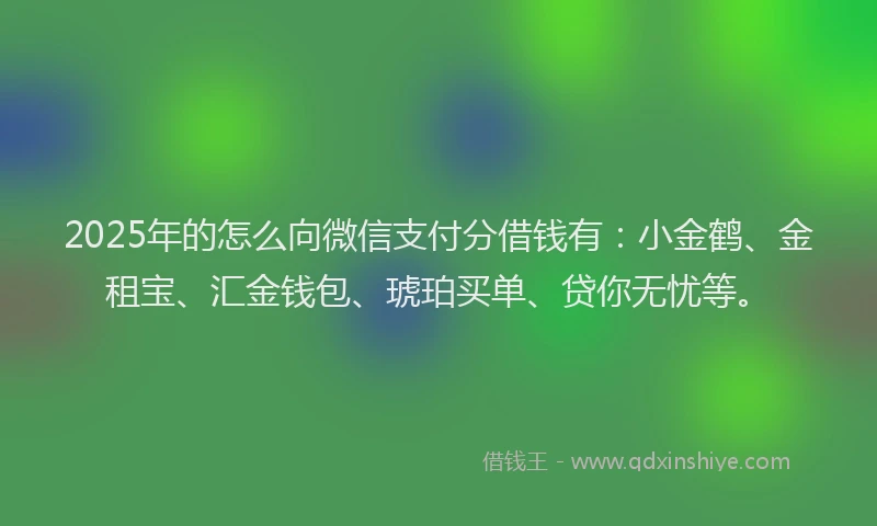 2025年的怎么向微信支付分借钱有：小金鹤、金租宝、汇金钱包、琥珀买单、贷你无忧等。