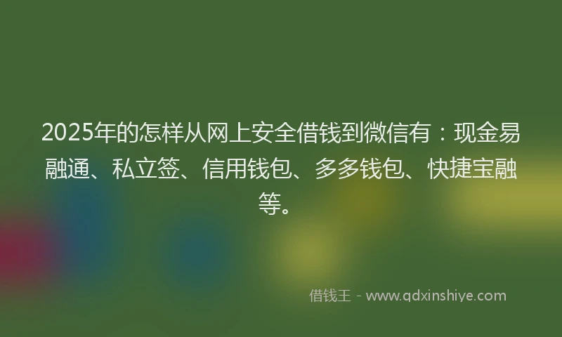 2025年的怎样从网上安全借钱到微信有：现金易融通、私立签、信用钱包、多多钱包、快捷宝融等。
