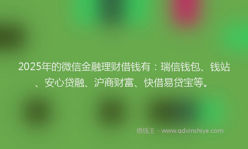 2025年的微信金融理财借钱有:瑞信钱包、钱站、安心贷融、沪商财富、快借易贷宝等。