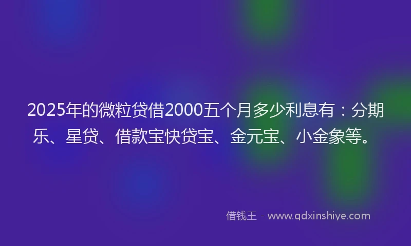 2025年的微粒贷借2000五个月多少利息有：分期乐、星贷、借款宝快贷宝、金元宝、小金象等。