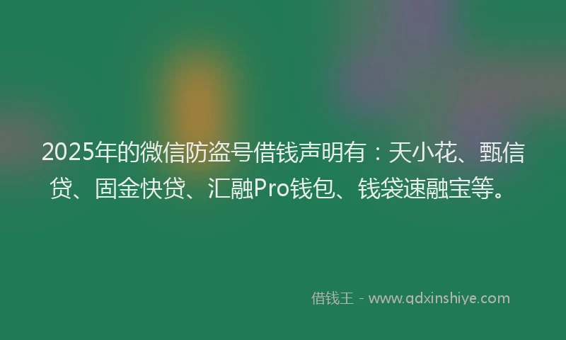 2025年的微信防盗号借钱声明有：天小花、甄信贷、固金快贷、汇融Pro钱包、钱袋速融宝等。