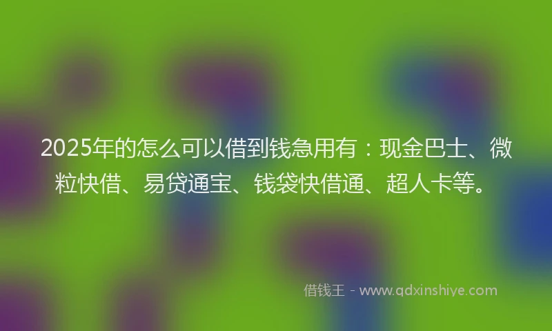 2025年的怎么可以借到钱急用有：现金巴士、微粒快借、易贷通宝、钱袋快借通、超人卡等。