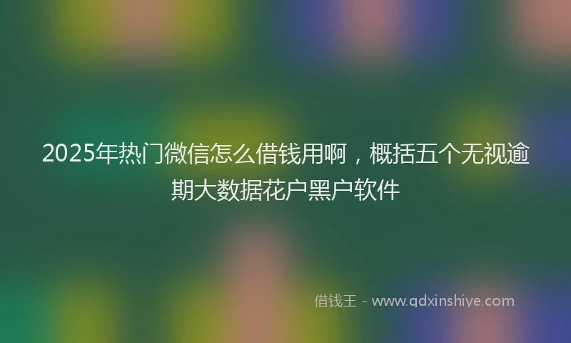 2025年热门微信怎么借钱用啊，概括五个无视逾期大数据花户黑户软件