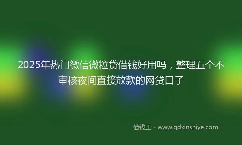 2025年热门微信微粒贷借钱好用吗，整理五个不审核夜间直接放款的网贷口子