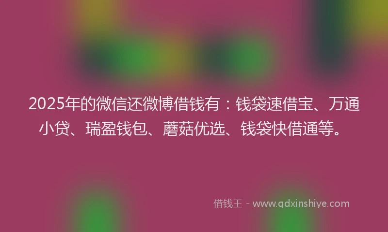 2025年的微信还微博借钱有：钱袋速借宝、万通小贷、瑞盈钱包、蘑菇优选、钱袋快借通等。