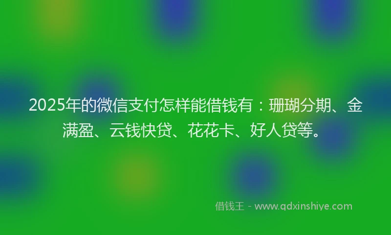 2025年的微信支付怎样能借钱有：珊瑚分期、金满盈、云钱快贷、花花卡、好人贷等。