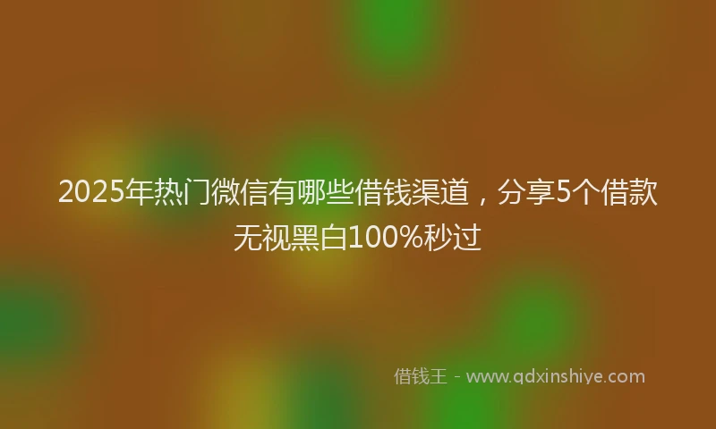 2025年热门微信有哪些借钱渠道，分享5个借款无视黑白100%秒过