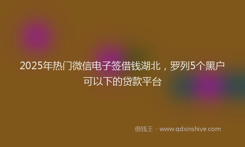 2025年热门微信电子签借钱湖北，罗列5个黑户可以下的贷款平台