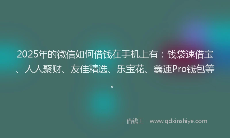 2025年的微信如何借钱在手机上有：钱袋速借宝、人人聚财、友佳精选、乐宝花、鑫速Pro钱包等。