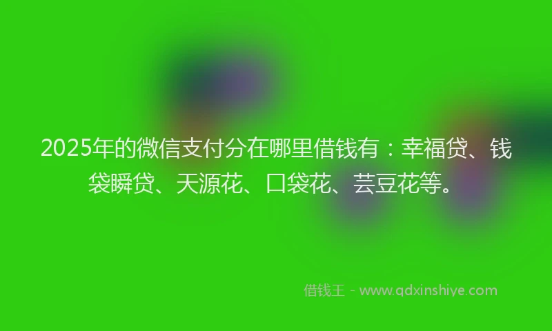 2025年的微信支付分在哪里借钱有：幸福贷、钱袋瞬贷、天源花、口袋花、芸豆花等。
