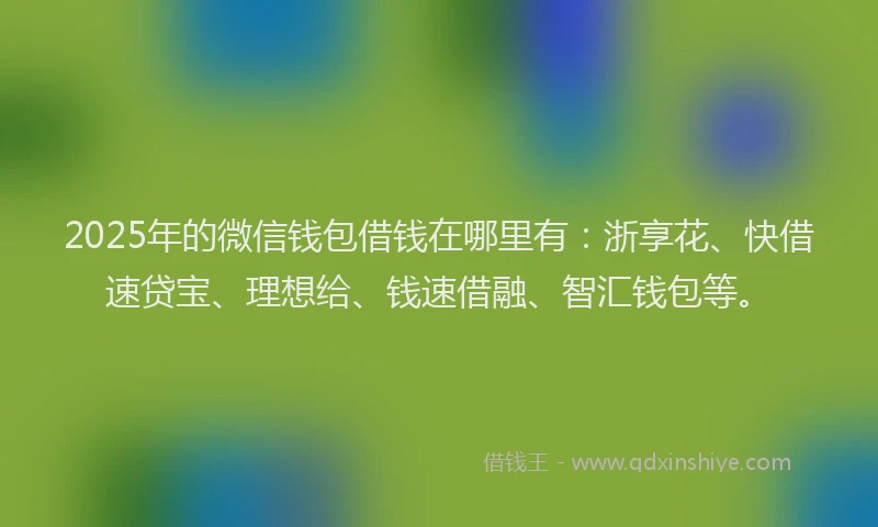2025年的微信钱包借钱在哪里有：浙享花、快借速贷宝、理想给、钱速借融、智汇钱包等。