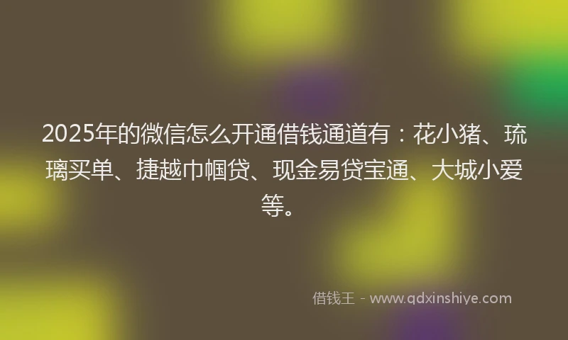2025年的微信怎么开通借钱通道有：花小猪、琉璃买单、捷越巾帼贷、现金易贷宝通、大城小爱等。