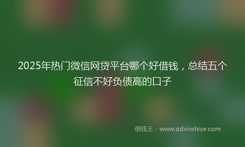 2025年热门微信网贷平台哪个好借钱，总结五个征信不好负债高的口子