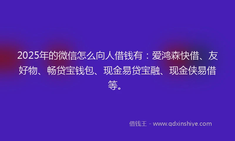 2025年的微信怎么向人借钱有：爱鸿森快借、友好物、畅贷宝钱包、现金易贷宝融、现金侠易借等。