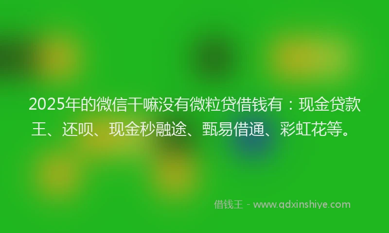 2025年的微信干嘛没有微粒贷借钱有：现金贷款王、还呗、现金秒融途、甄易借通、彩虹花等。